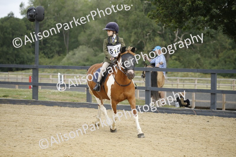 20250622-1288 - 40cm