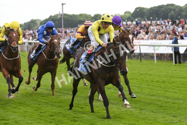 yr11062022r6-24 - Race 6 4.15pm Reg Griffin Appreciation EBFstallions.com Maiden Stakes