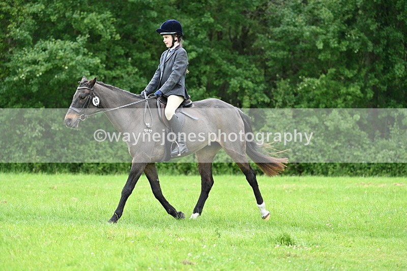 WJ7_4492 - Class 14B Prettiest Mare