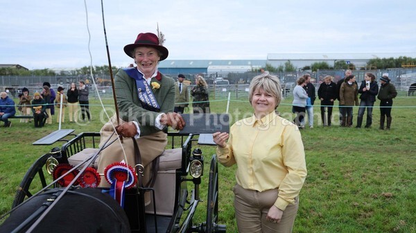 untitled-7259 - Shetland Pony Show
