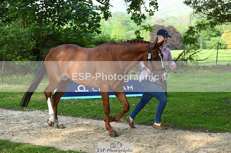 230525-173158-01508 - 323-CHESTNUT_BOBBY-Molly_Fletcher-WEDTrotUp+DR