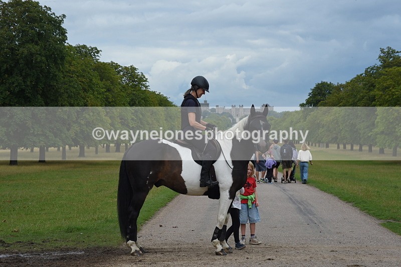 TT3_9618 - Time at Crossing 11:28 to 13:16