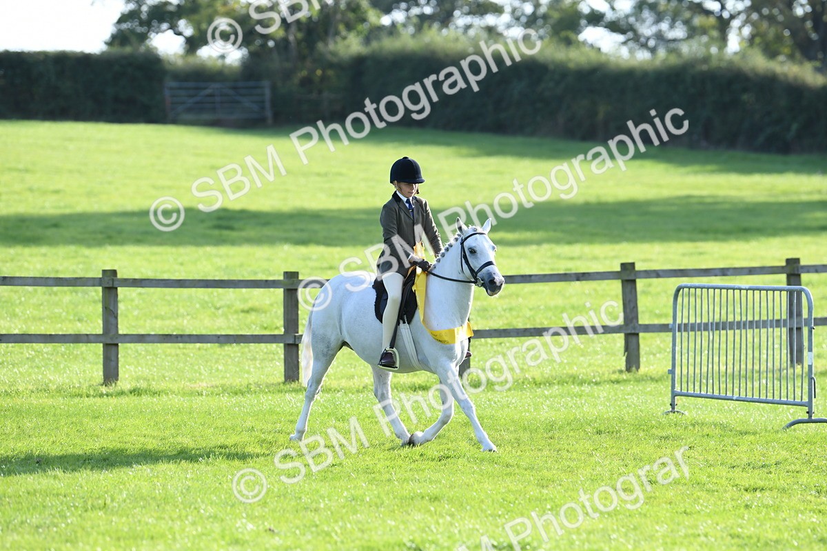 SBM_52453 - S22 - 1st Ridden Show & Show Hunter Pony