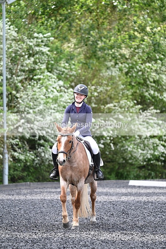 WJ7_8132 - Time 10:11 to 10:27