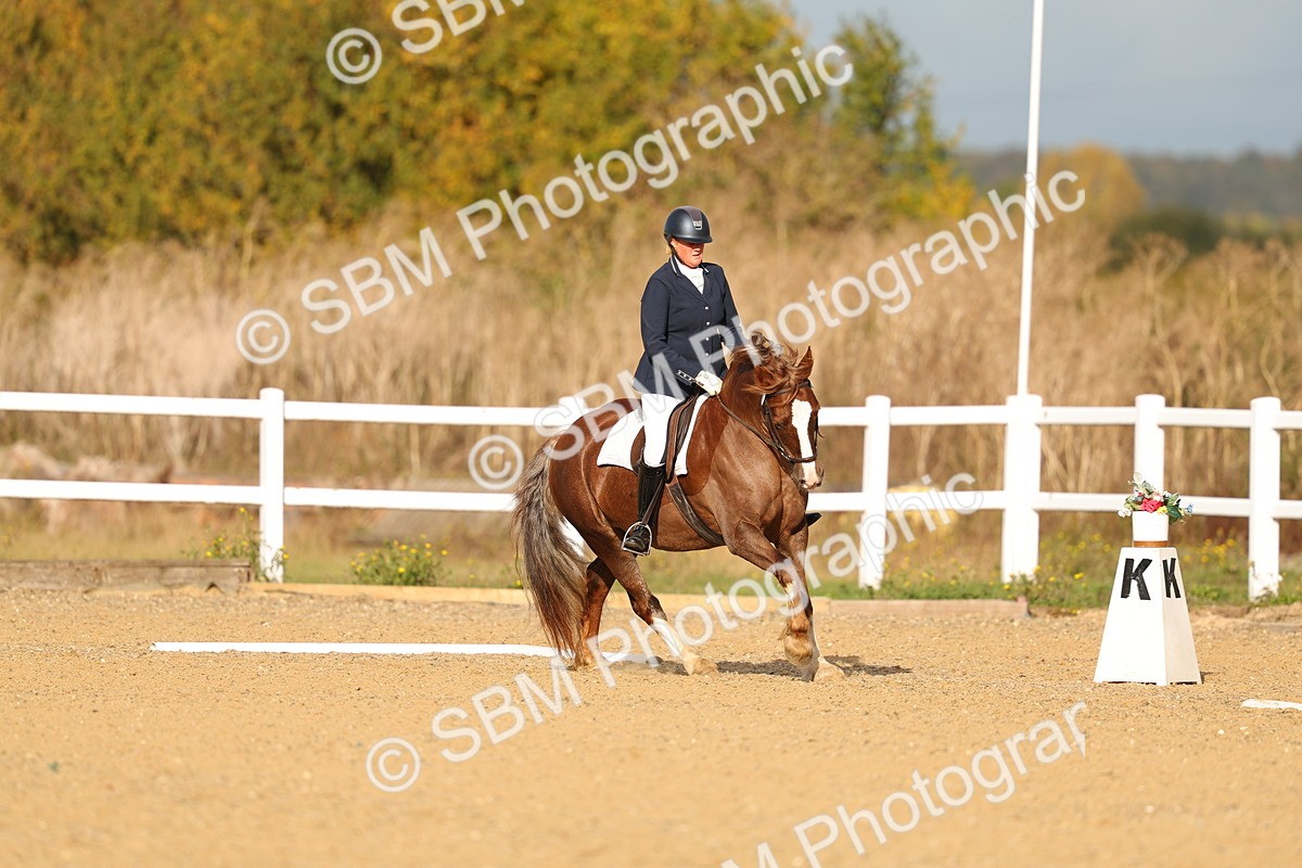 SBM_009293 - Class 1 - P4