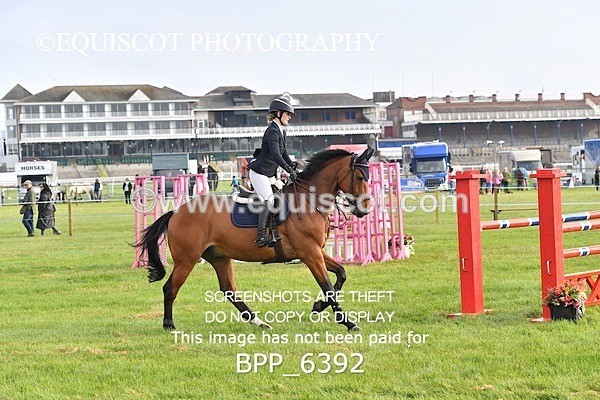 BPP_6392 - CLASS 1 Senior Newcomers/ 1.10m Open