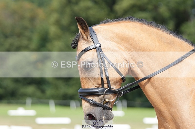 250823A-145607-32187 - PC70 Ride Off