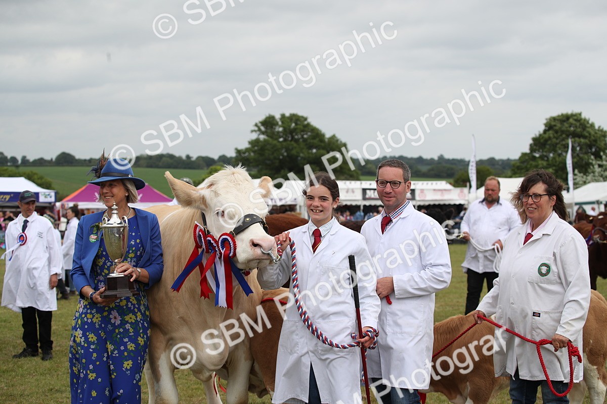SBM_07896 - Grand Parade