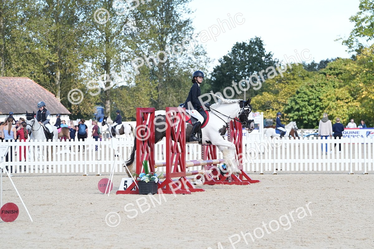 SBM_38828 - J21 - Junior Horse 60cm Championship