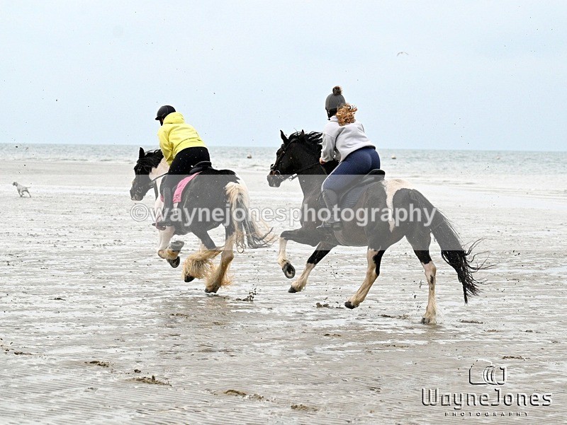 WJ7_9160 - Hayling Island Beach Shoot 22-09-24