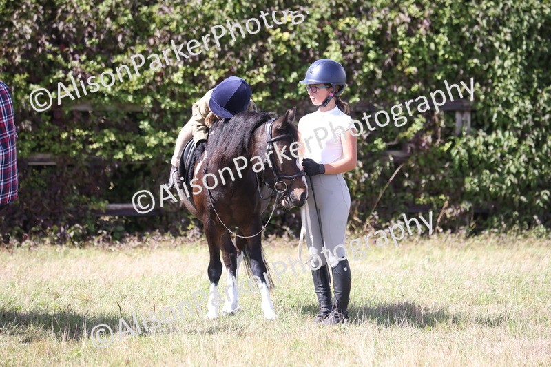 20260906-2788 - Class 25 - Absolute Beginners Pony