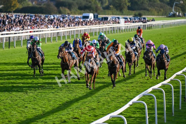 111025-Race 6-Berkshire Sundance-9002 - Race 6 Coral Racing Club Stayers Handicap at York