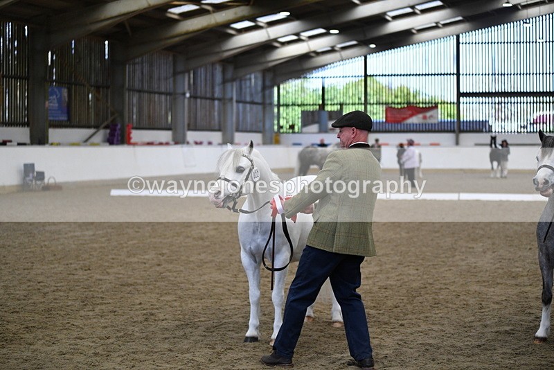 WJ5_5532 - Class 4 In hand M&M - small breeds