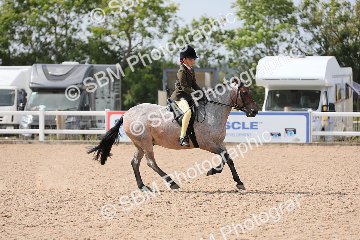 SBM_15595 - Class 311 Ridden Show Pony/ Show Hunter Pony