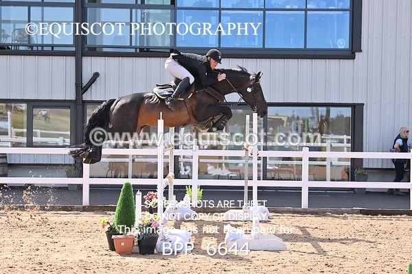 BPP_6644 - CLASS 13 FRI HOYS Talent Seeker Qualifier Inc 7 Year Old Horse Championship Qualifier