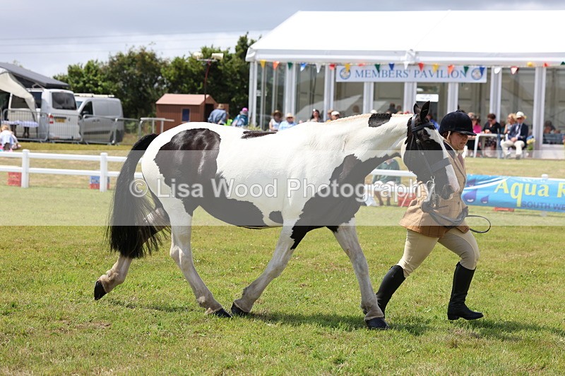 3E7A2145 - Class 10: Open Cob