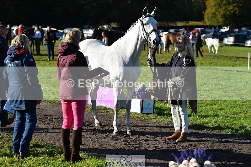 231022-101728-22382 - 488-JEMIMA.J.RAY-Liberty.Turnbull-TrotUp+SJ
