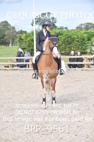 BPP_9561 - CLASS 8 90CM