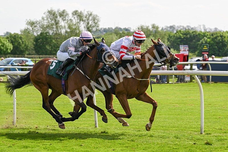 130524-Race 3-Animato-0269 - Race 3