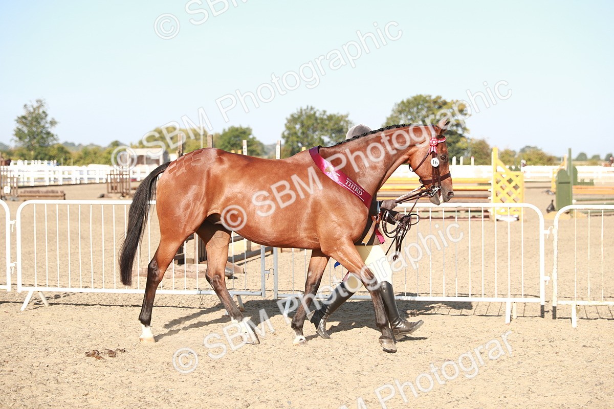 SBM_00167 - Class 40 Best Turned Out IH