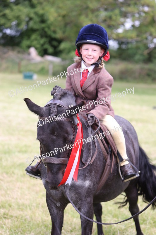 20260614-0821 - Class 20 - Beginners Working Hunter Pony