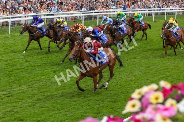 270724-Race 2-Rage Of Bamby-4653 - Race 2 2.40pm Sky Bet Dash Handicap