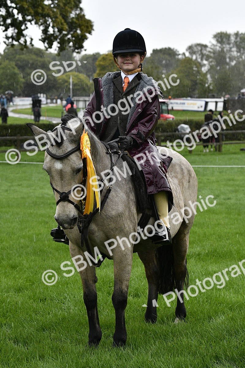 SBM_35601 - S30 - Nursery Stakes Working Hunter Pony