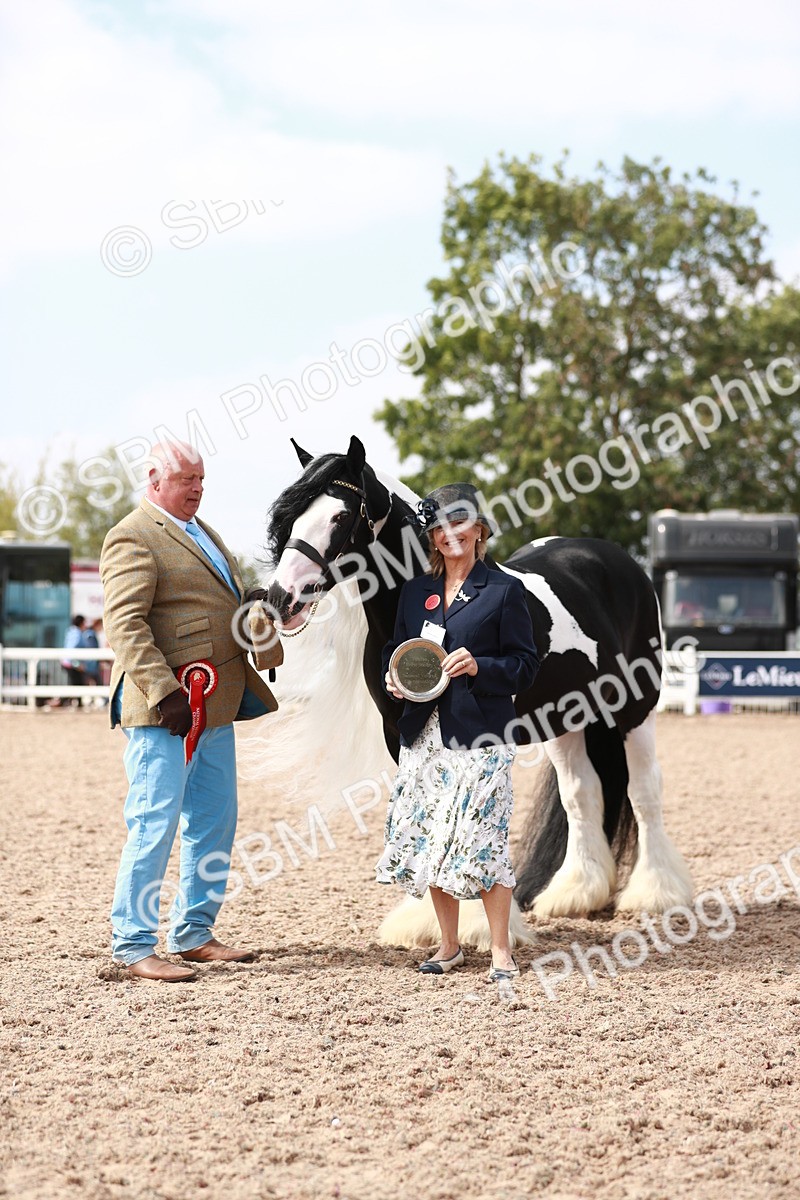 SBM_13944 - Class 209 IH Veteran Pony