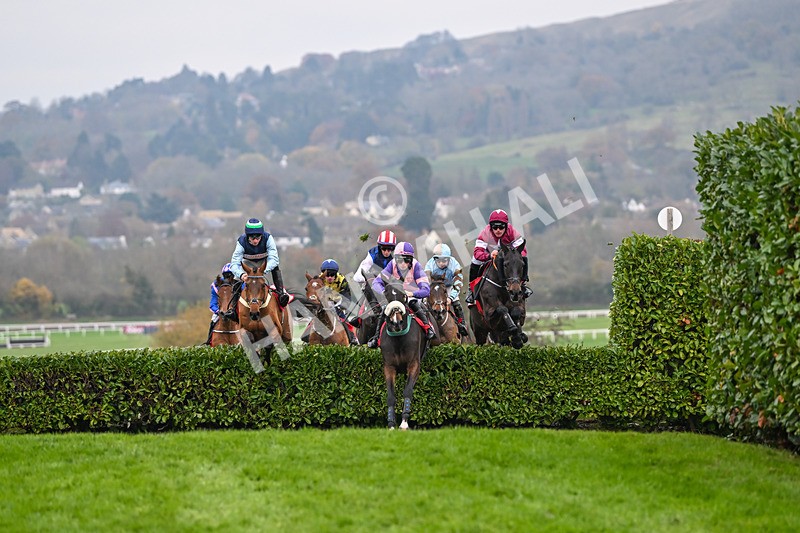 151124-Race 4-Tommie Beau-8113 - Race 4