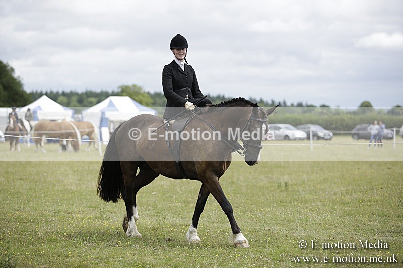 BVR160717-2001 - Side Saddle Classes 16/07/17