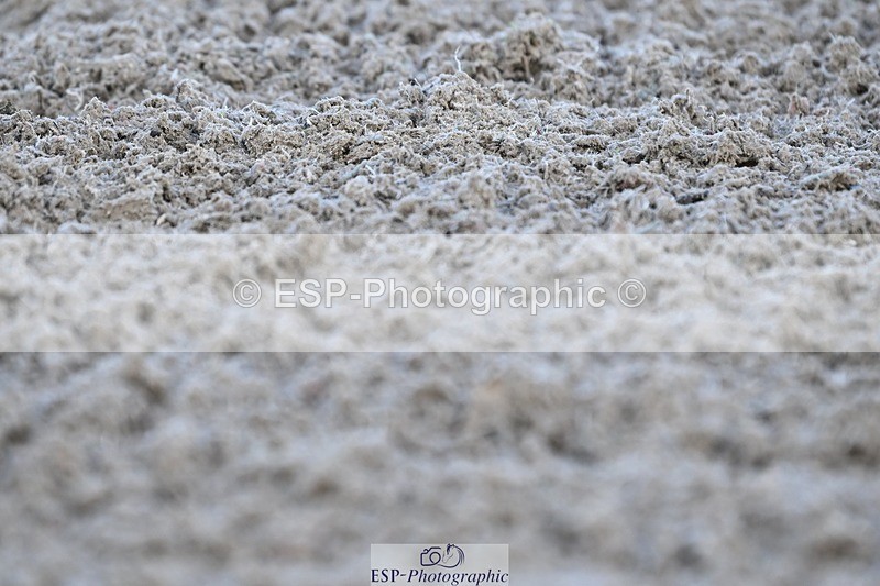 231105-133101-01888 - Cls 2 Prelim 7 12.41 to End