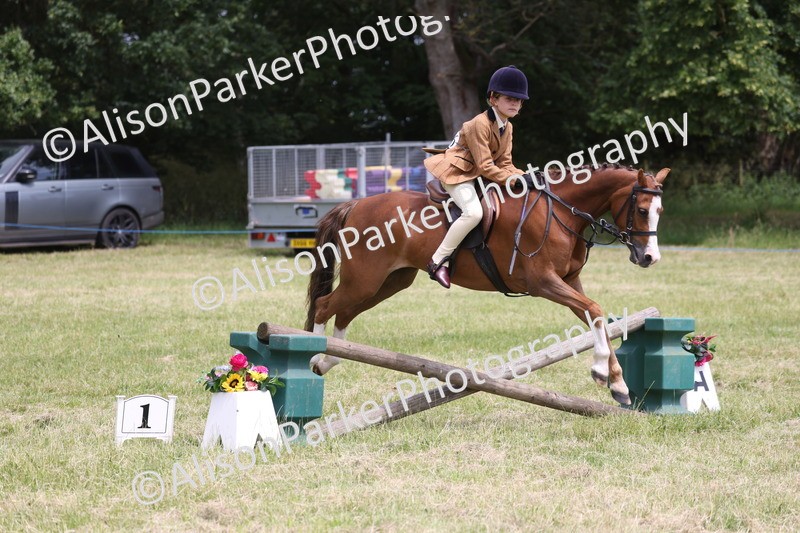 20260614-2809 - Class 22 - Open Working Hunter
