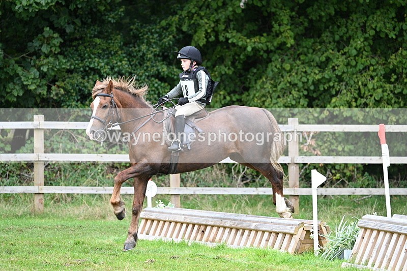 WJ7_7473 - 40cm Time 10:27 to 10:47