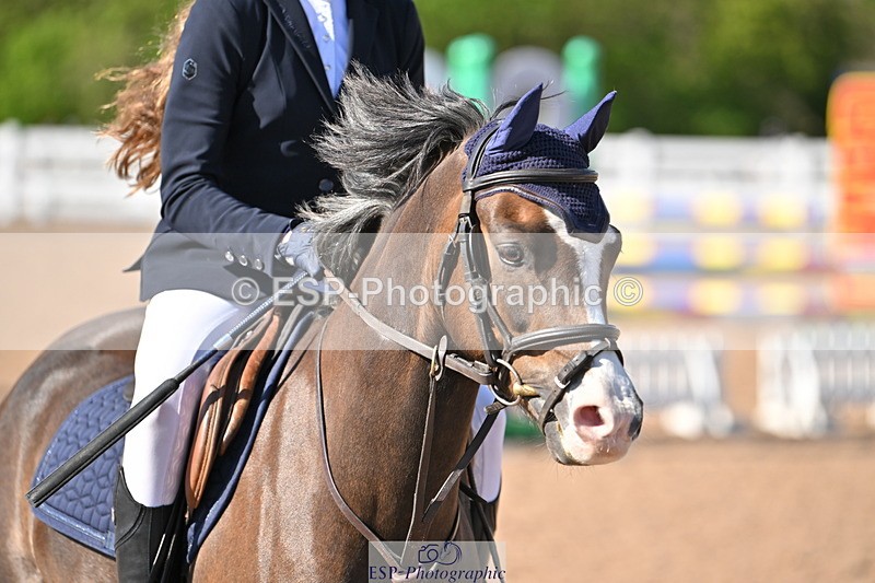 240504A-165141-03053 - Cls 24 Springboard 128cm & 138cm