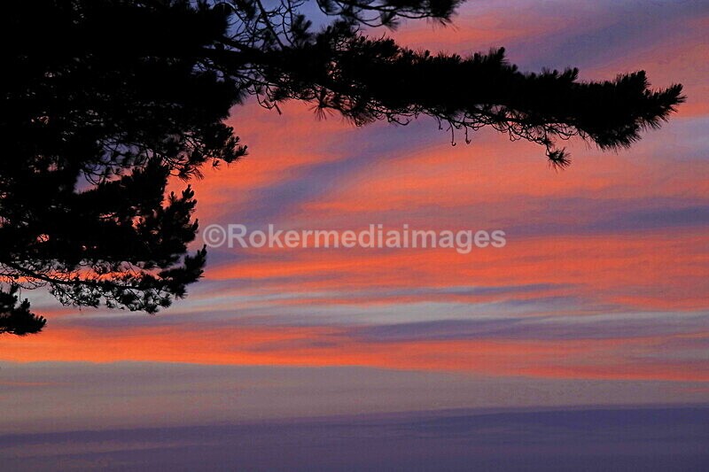 _56A6951 - Skomer 2019