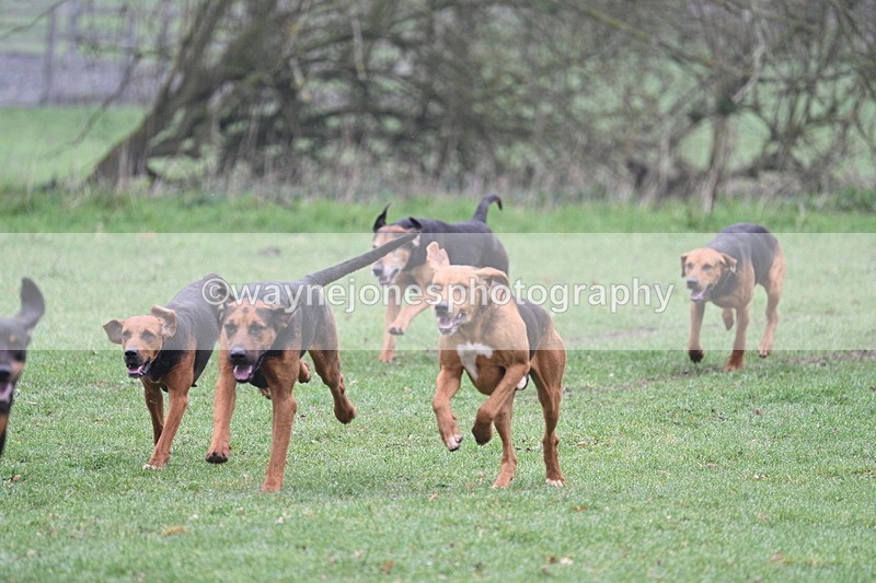 WJ7_0052 - Line 1 cam A