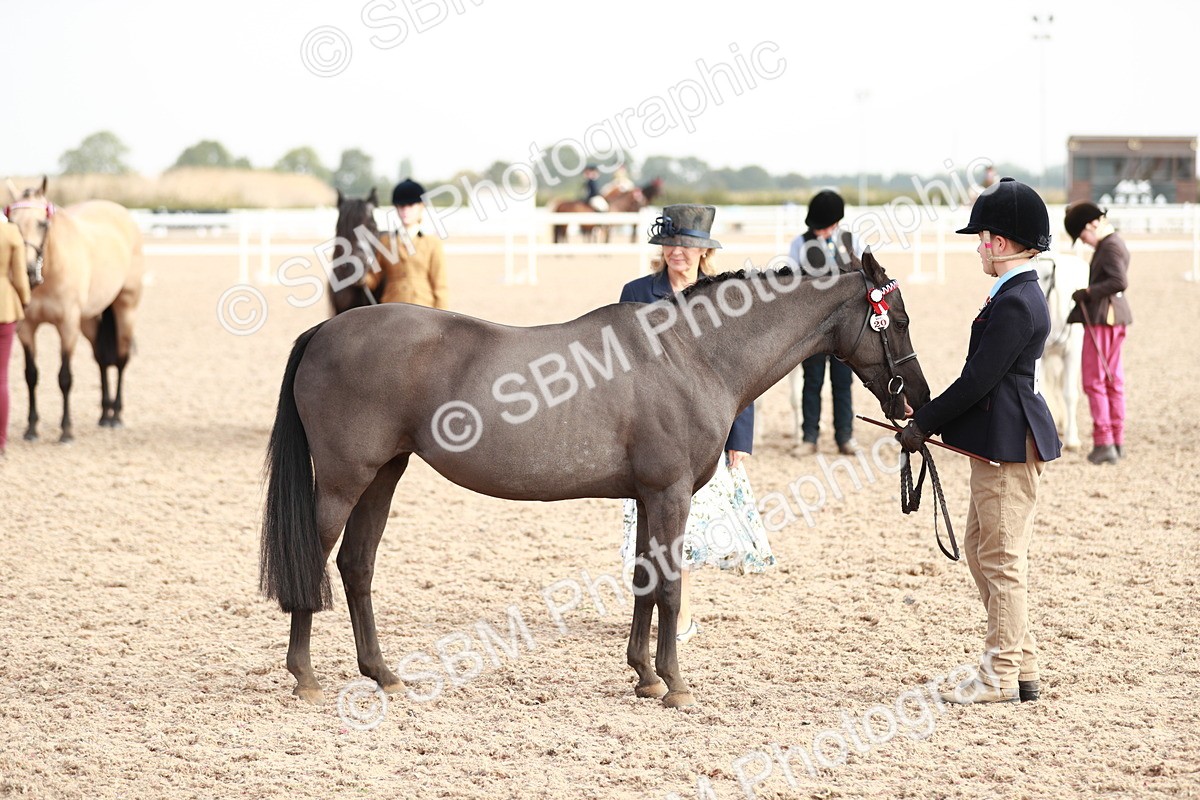 SBM_10604 - Class 204 Young Handler, 11-16 years