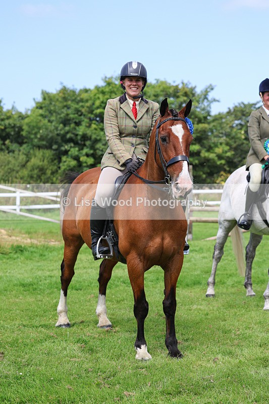 3E7A8817 - Class 5: Working Show Horse