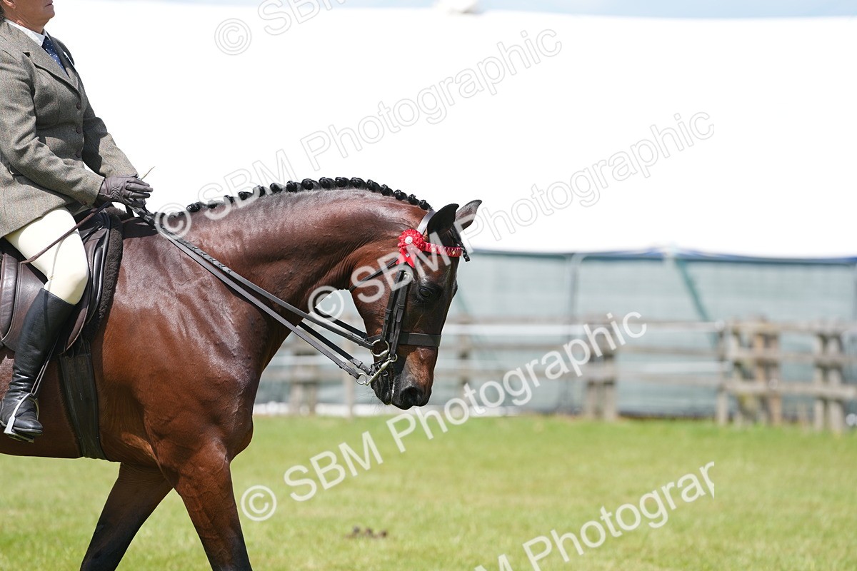 SBM_15918 - Class 103-104 - RIHS Hacks