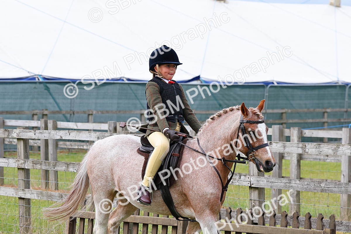 SBM_09618 - Class 44-45 - LIHS BSPS Open Nursery and Cradle Stakes