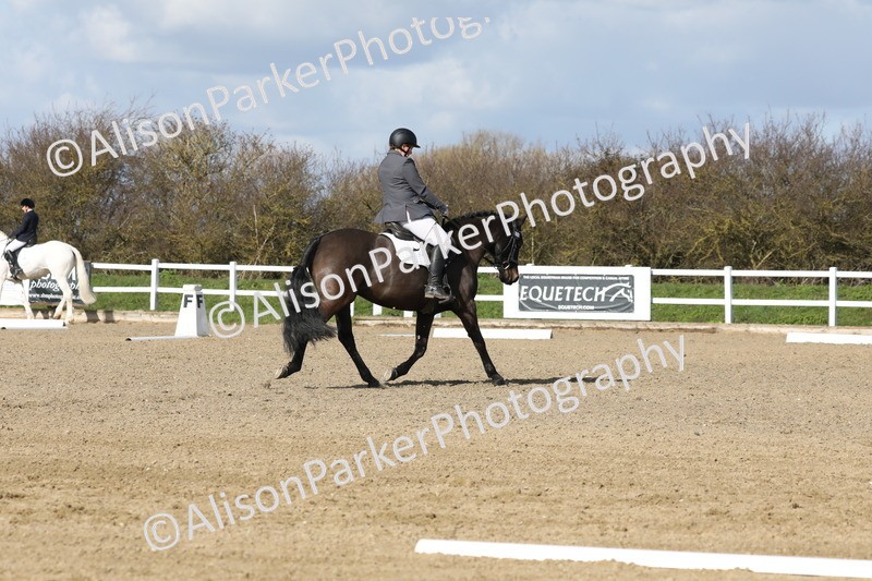 20260314-4857 - CT6 - Elementary 1