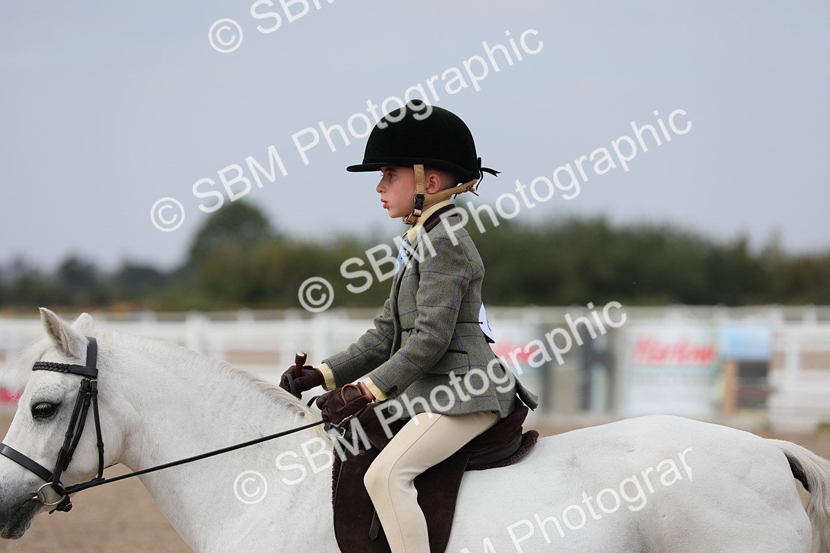 SBM_16927 - Class 314 Family Horse/Pony