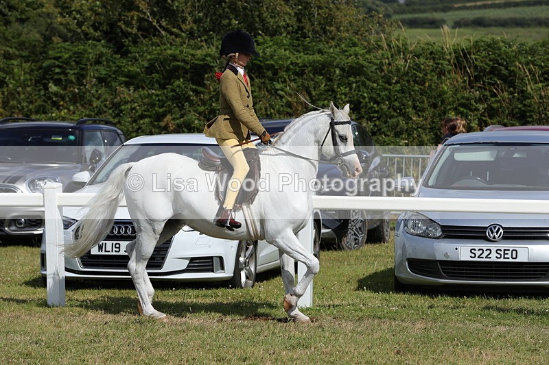 1X9A5658 - Class 40: NPS Welsh A & B