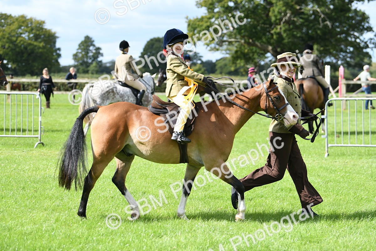 SBM_41290 - S19 - Lead Rein Show & Show Hunter Pony