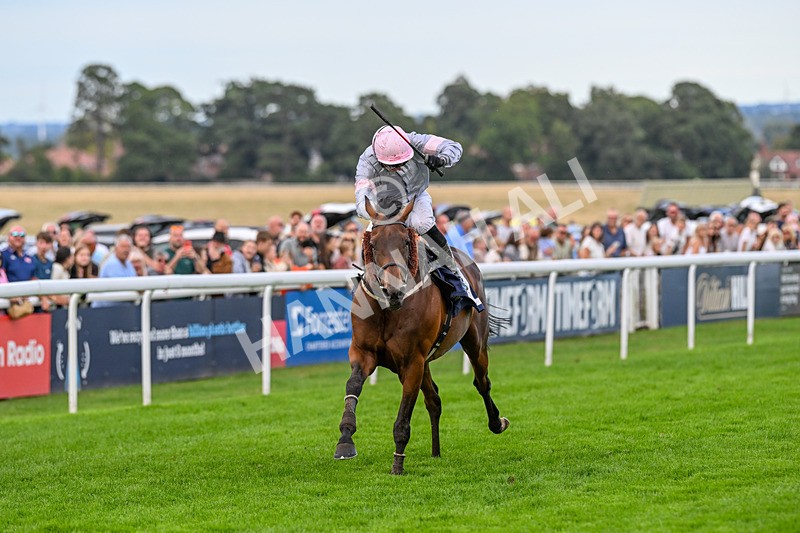 300826-Race 7-Marbuzet-9952 - Race 7 5.05pm Napoleons Casino And Restaurant Hull Apprentice Handicap