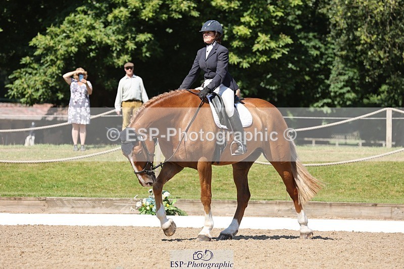 240719-103819-00751 - 223-Deborah_Randall-Sandy's_Bertie