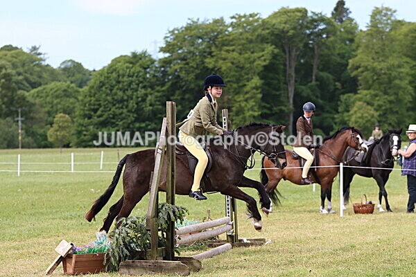 IMG_2564 - Working Hunter