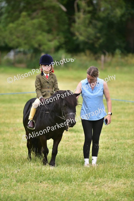 20260614-3683 - Class 15 - Prettiest Mare