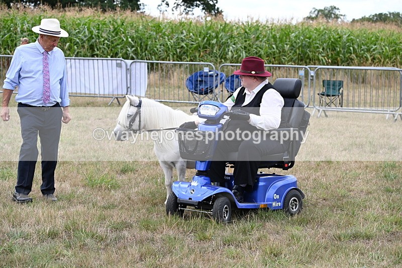WJ6_6023 - Class 19 In-hand Veterans (Uploaded correct folder)