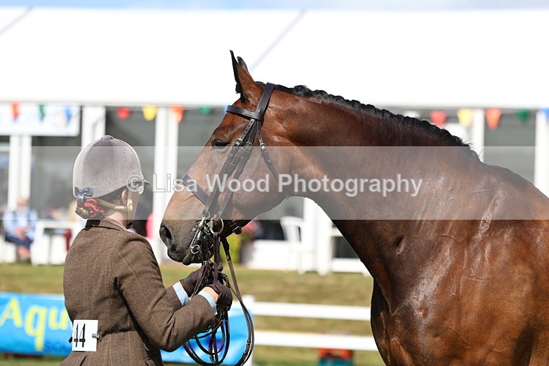 3E7A9541 - Class 4: Rising Star M/H Hunter